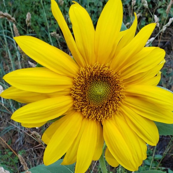 Thriftyminded's upcoming thoughtfully curated live shows - Picture 6 of 9